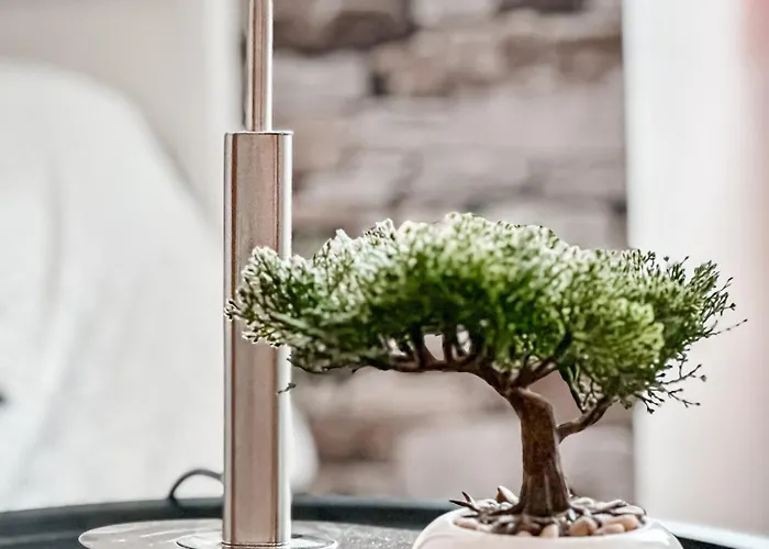 公寓 Lm-apartmentsmainz-01 *